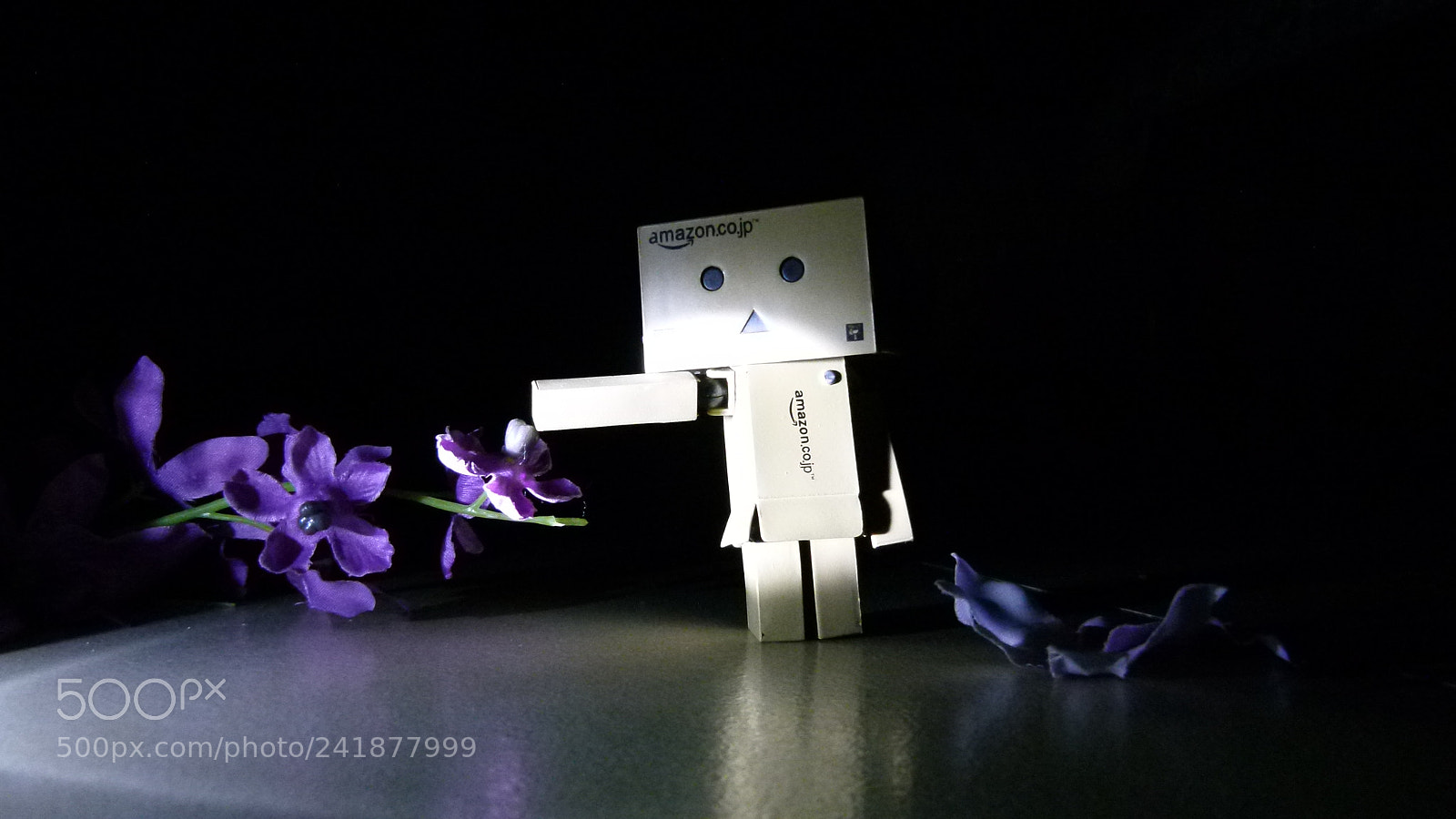 Leica V-Lux 2 sample photo. Untitled photography