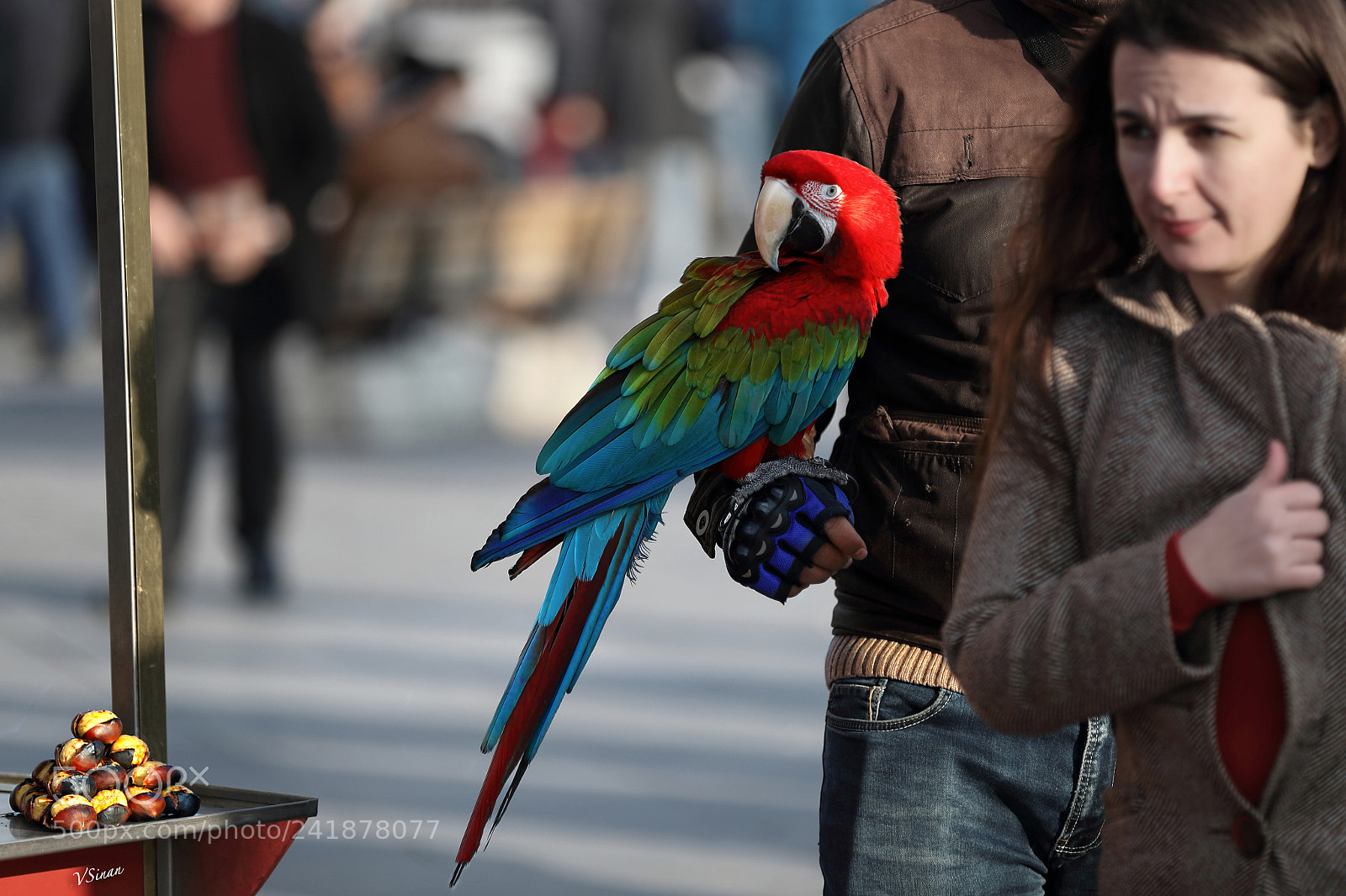 Canon EOS-1D X Mark II sample photo. Street photography