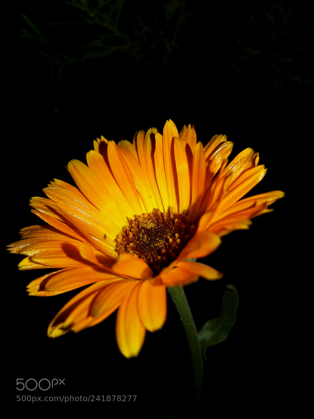 Samsung Galaxy J7 sample photo. Untitled photography