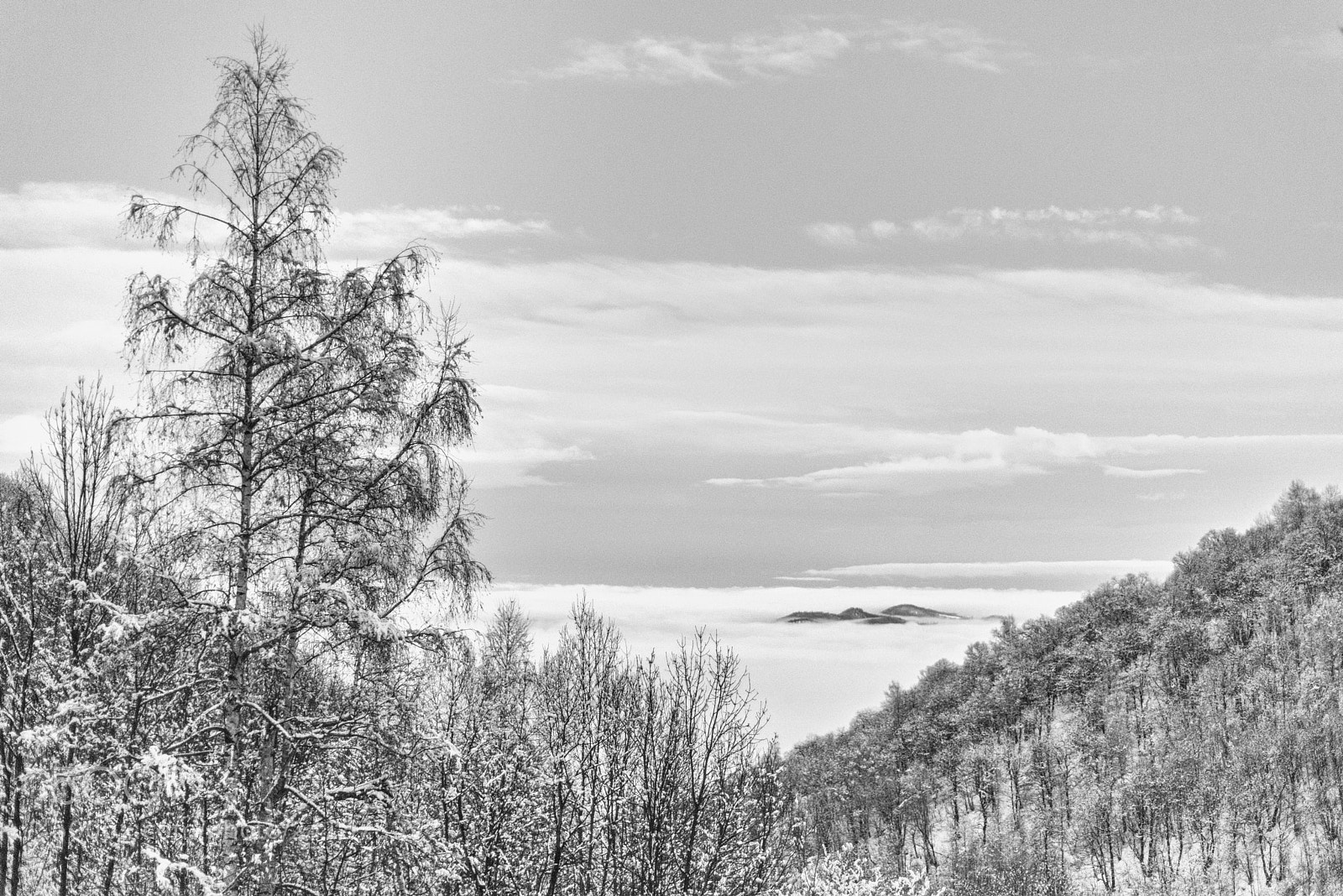 Nikon D800 sample photo. The island 2 photography
