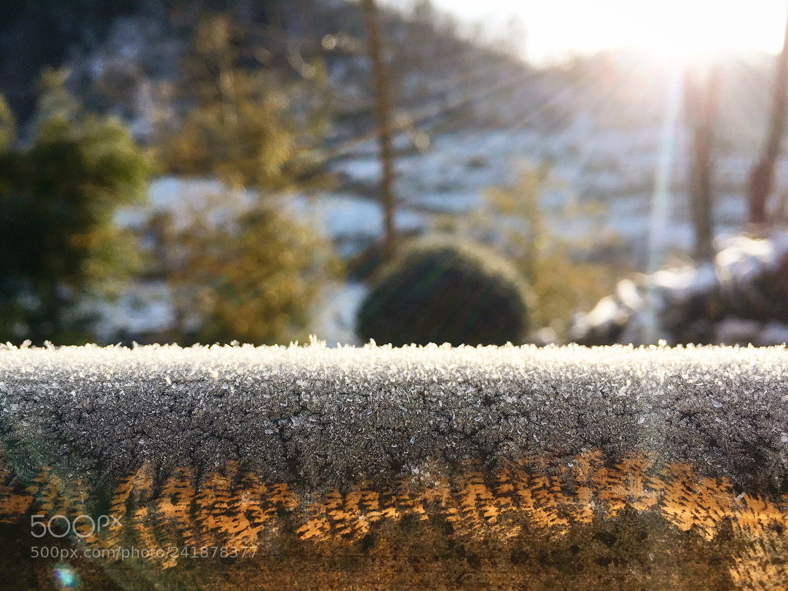 Apple iPhone 6s sample photo. Untitled photography