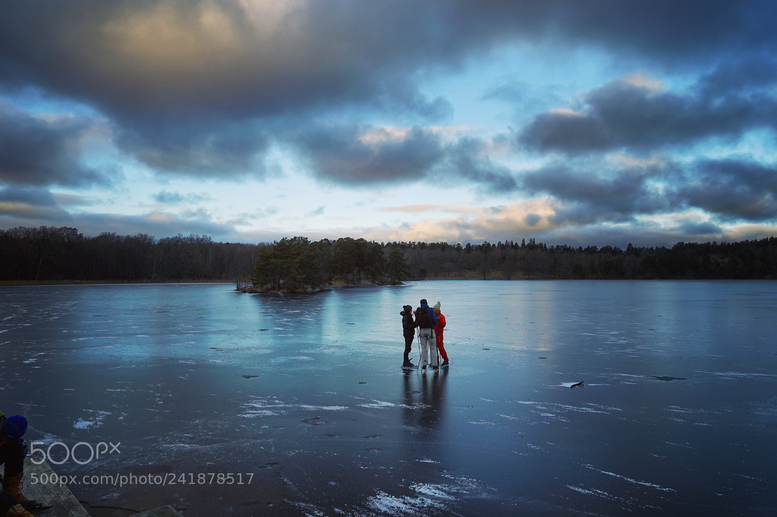 Sony a7 II sample photo. Hellasgården photography