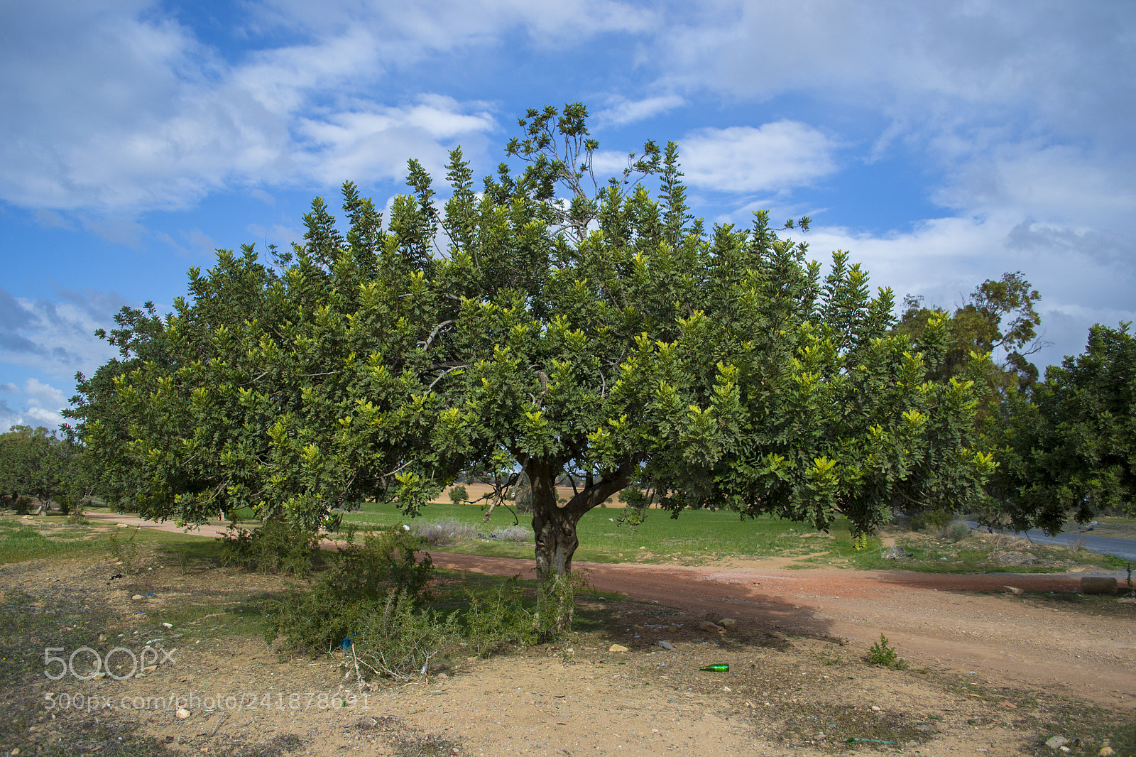 Nikon D3100 sample photo. Unknown feeling photography