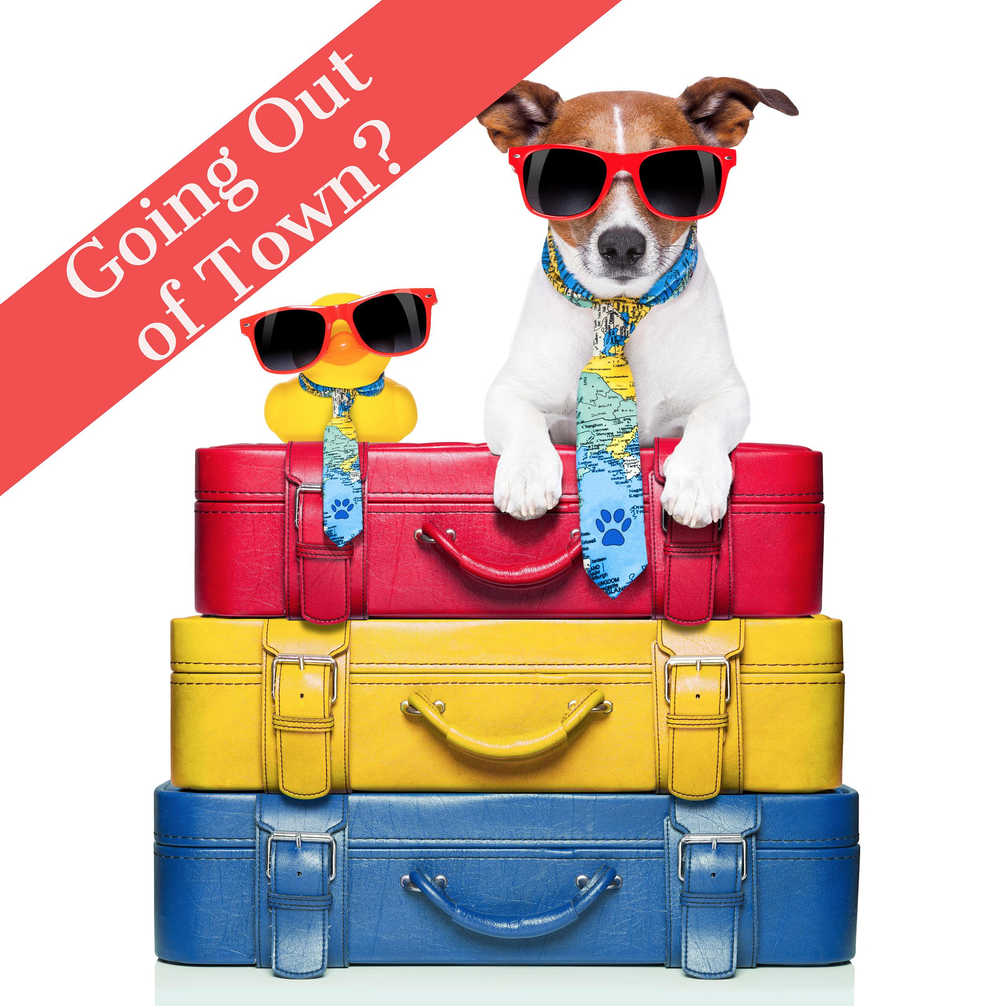 v2?sig=3bb9a268fe68906ee365ac19a320fd167b4cee4756f626da75e695617ab8c72c