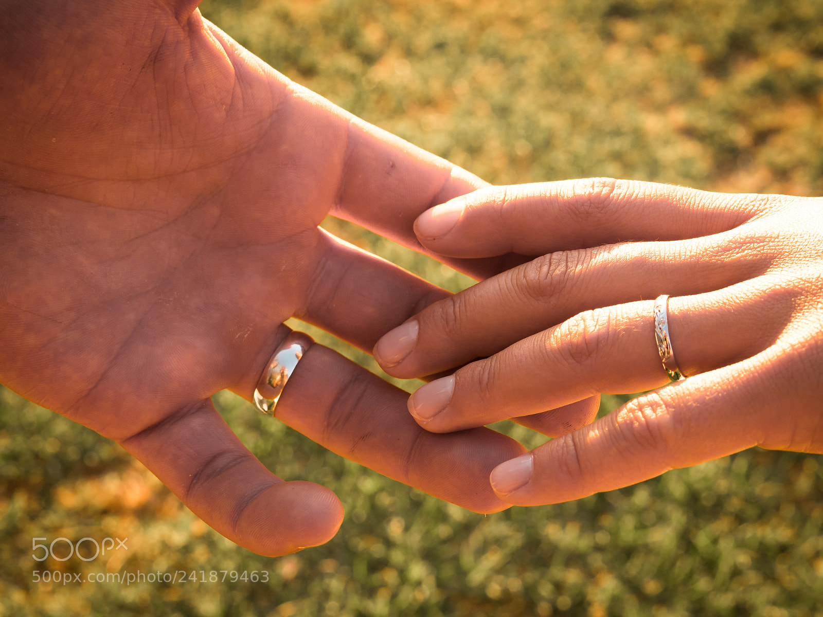 Olympus OM-D E-M1 Mark II sample photo. Ninette and maxime wedding photography