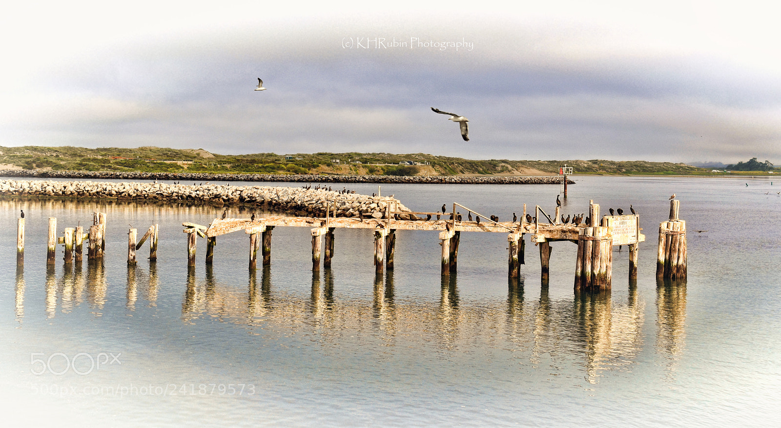 Nikon D5500 sample photo. Calm morning photography