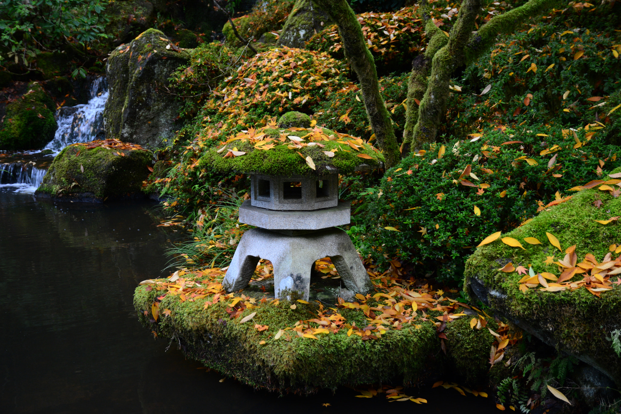 Nikon D7100 sample photo. Portland japanese garden photography