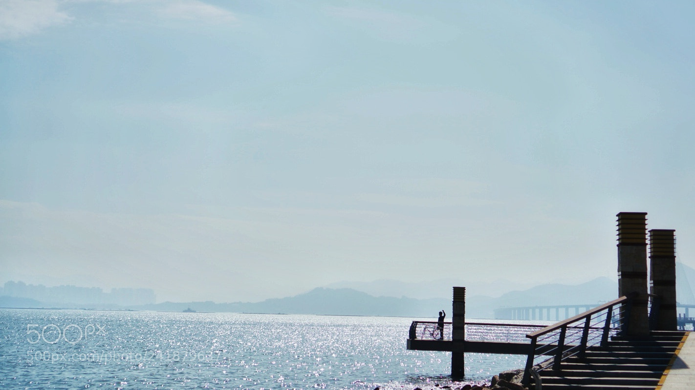 Sony Alpha NEX-5T sample photo. Bay photography