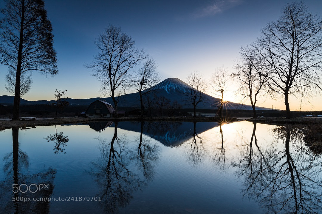 Canon EOS 6D Mark II sample photo. Quiet dawn photography