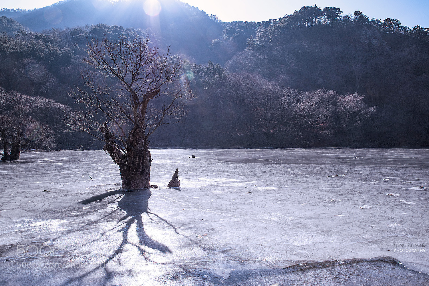 Pentax K-1 sample photo. Winter of the small photography