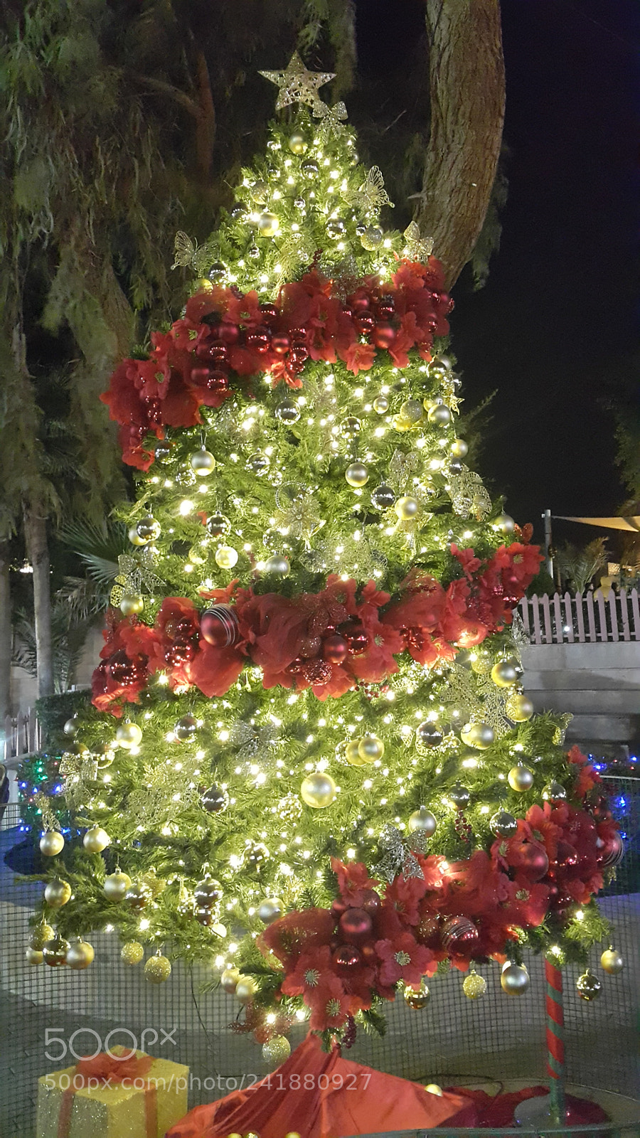 Samsung Galaxy Note4 sample photo. Christmas by me photography