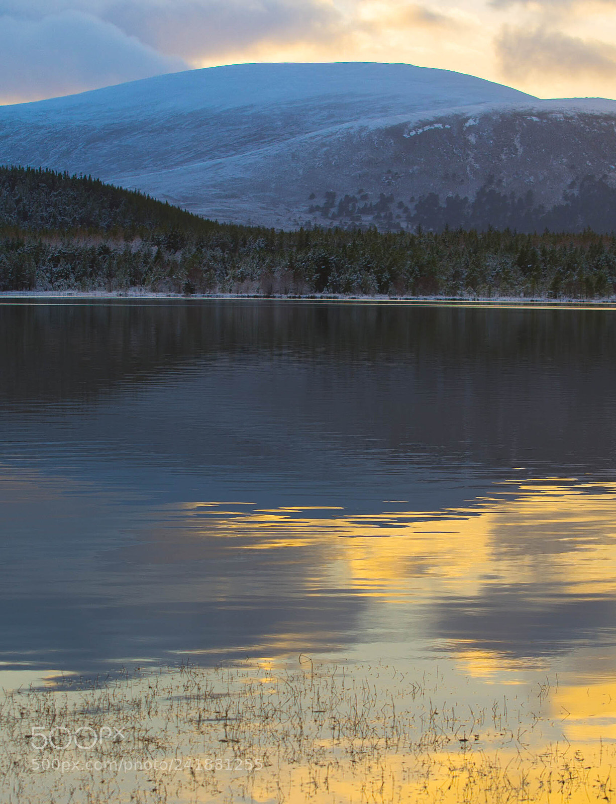 Nikon D7100 sample photo. Fading light. photography