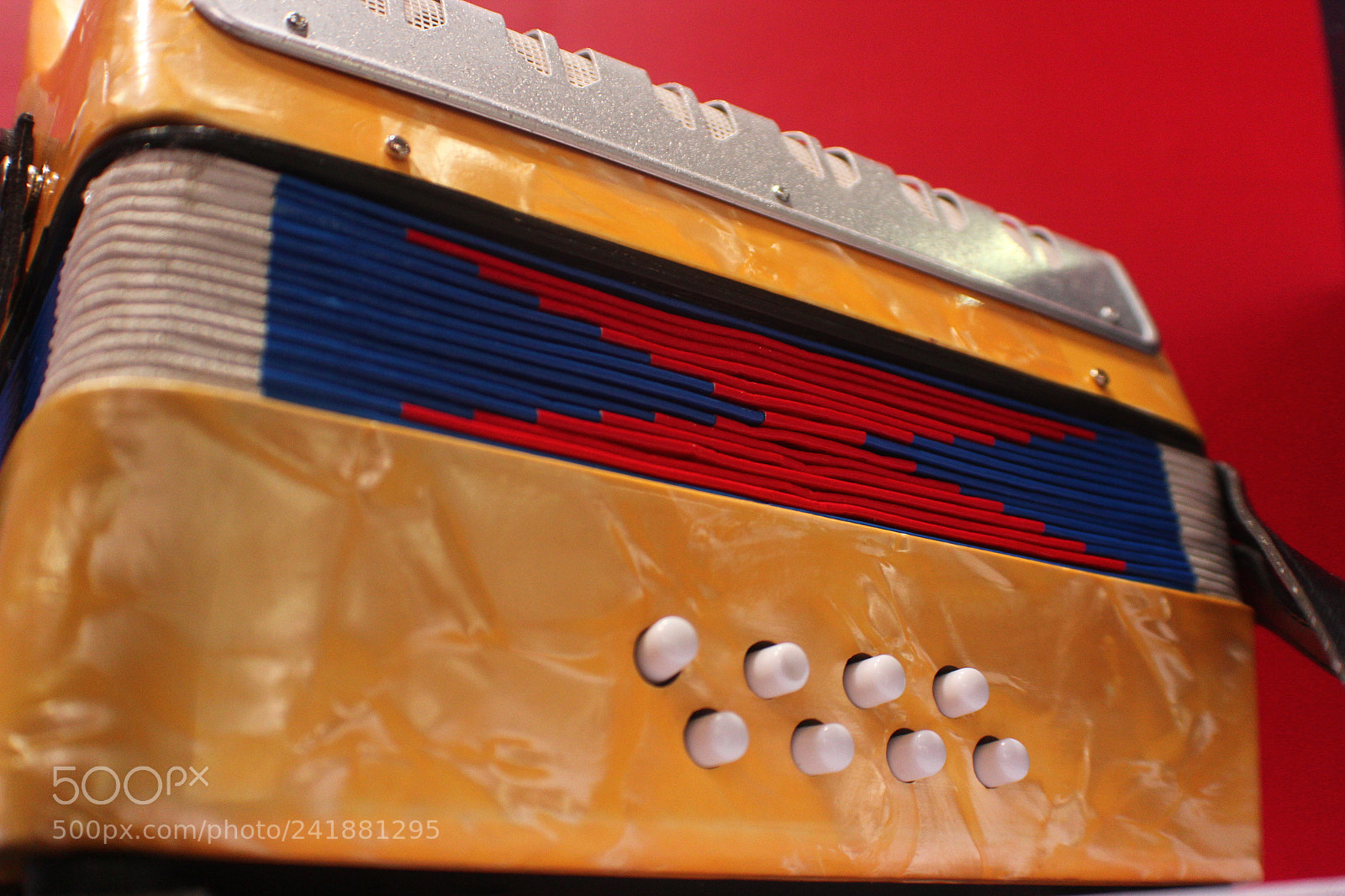 Canon EOS 60D sample photo. Accordion photography