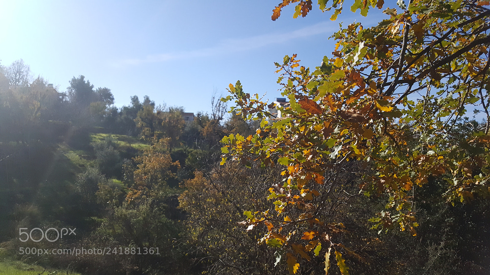 Samsung Galaxy Note5 sample photo. Untitled photography