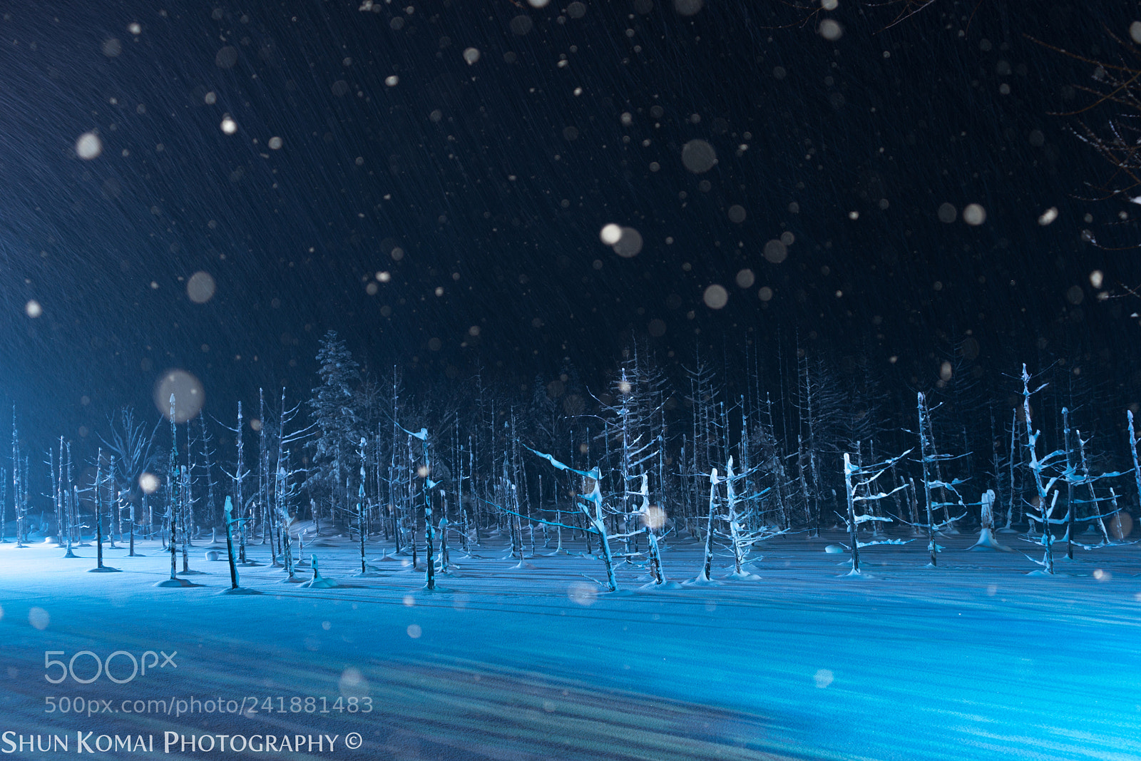 Sony a7 sample photo. Winter fantasy photography