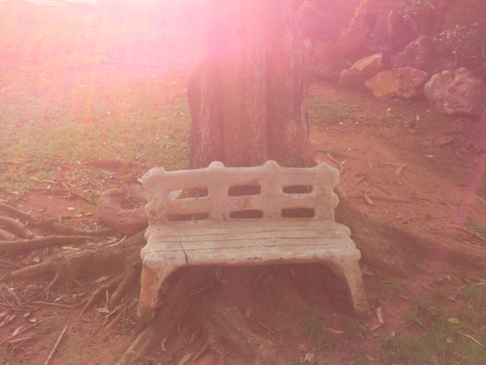 Sony Ericsson Xperia S sample photo. Bench photography