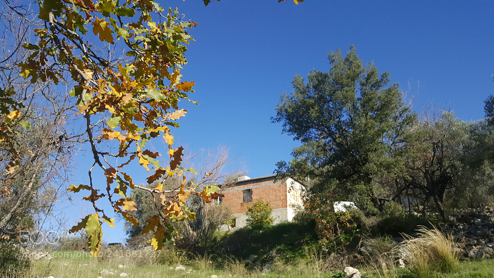 Samsung Galaxy Note5 sample photo. Untitled photography