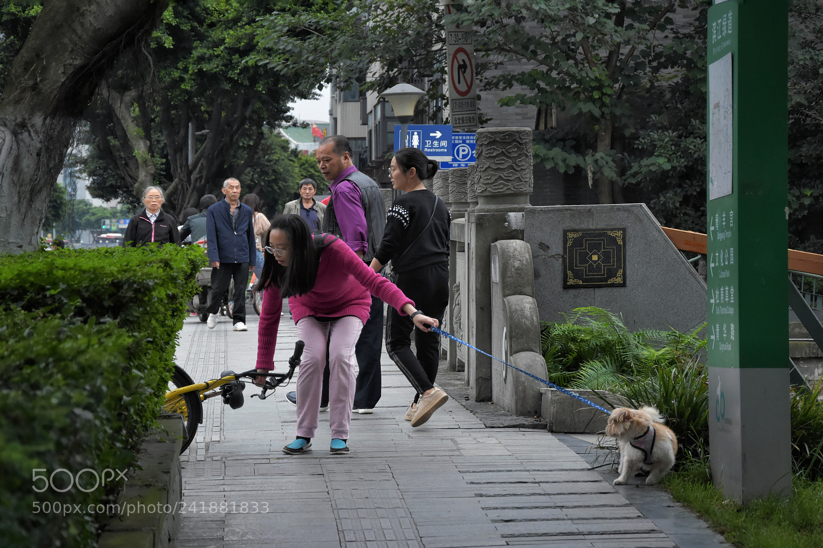 Nikon D5500 sample photo. Untitled photography