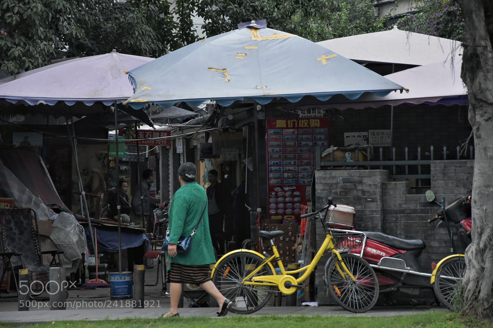 Nikon D5500 sample photo. Untitled photography