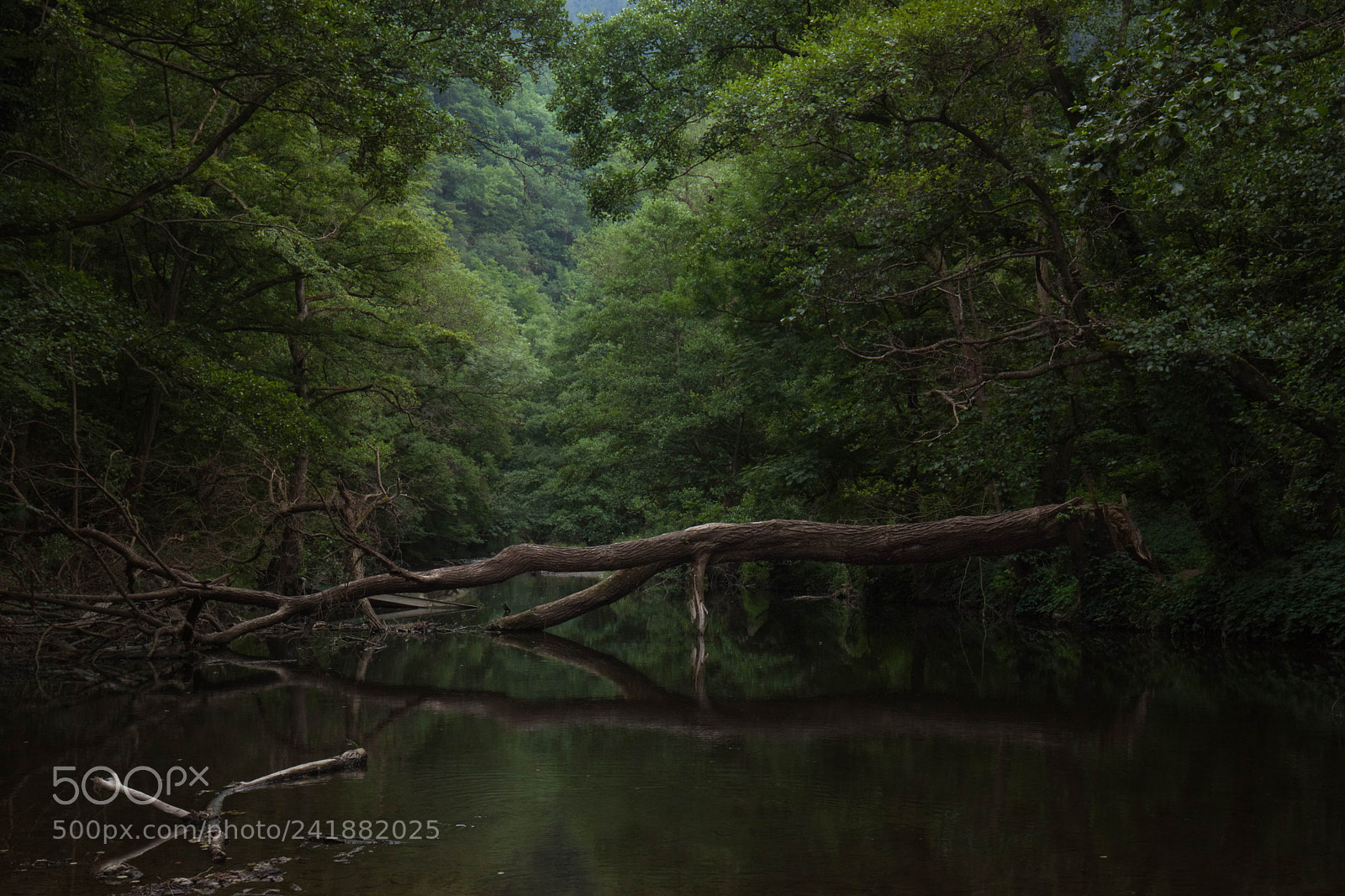 Canon EOS 500D (EOS Rebel T1i / EOS Kiss X3) sample photo. Dark river photography