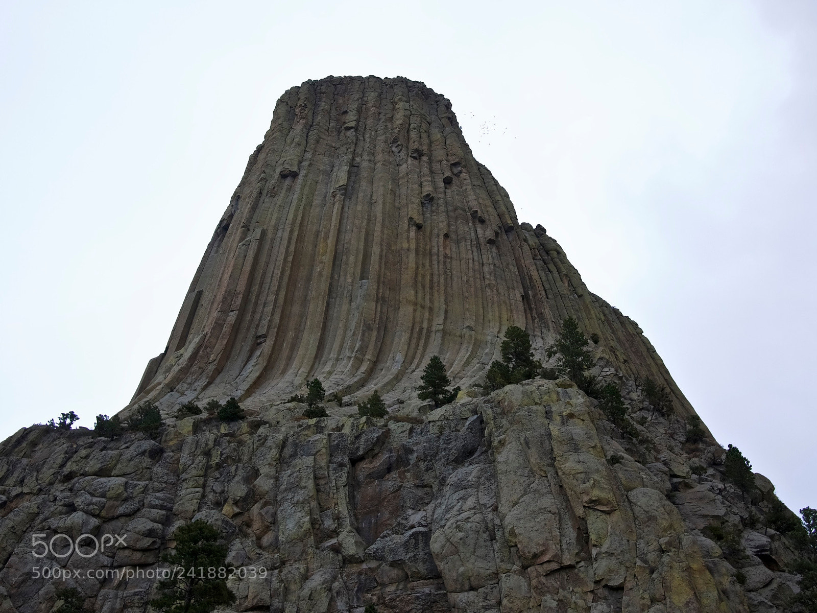 Panasonic Lumix DMC-GF2 sample photo. Devils tower  photography
