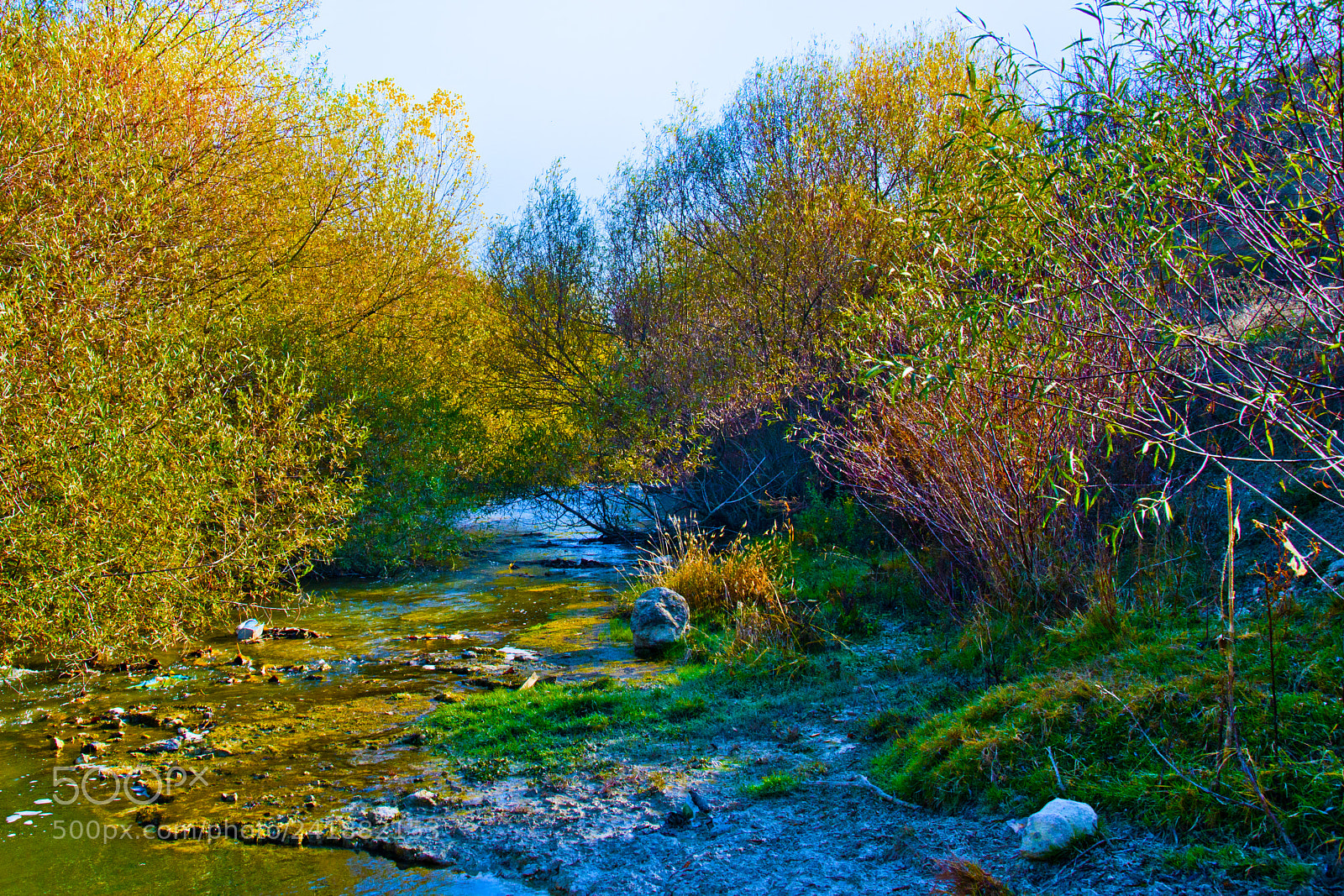 Nikon D800 sample photo. 000_3684.jpg photography