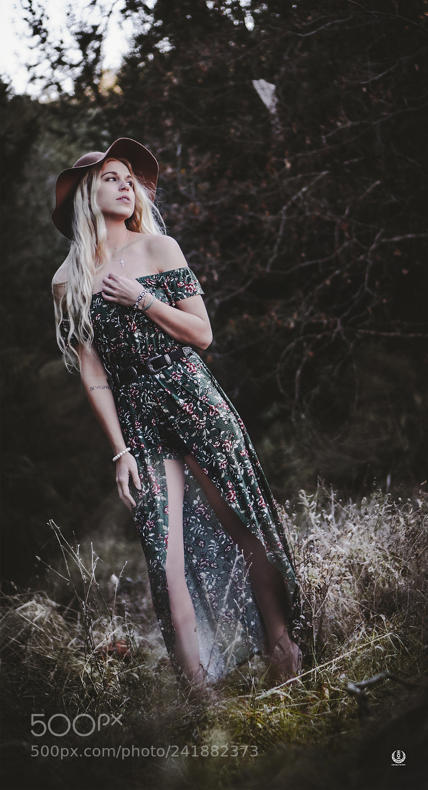 Sony a6500 sample photo. Enchanted hills photography