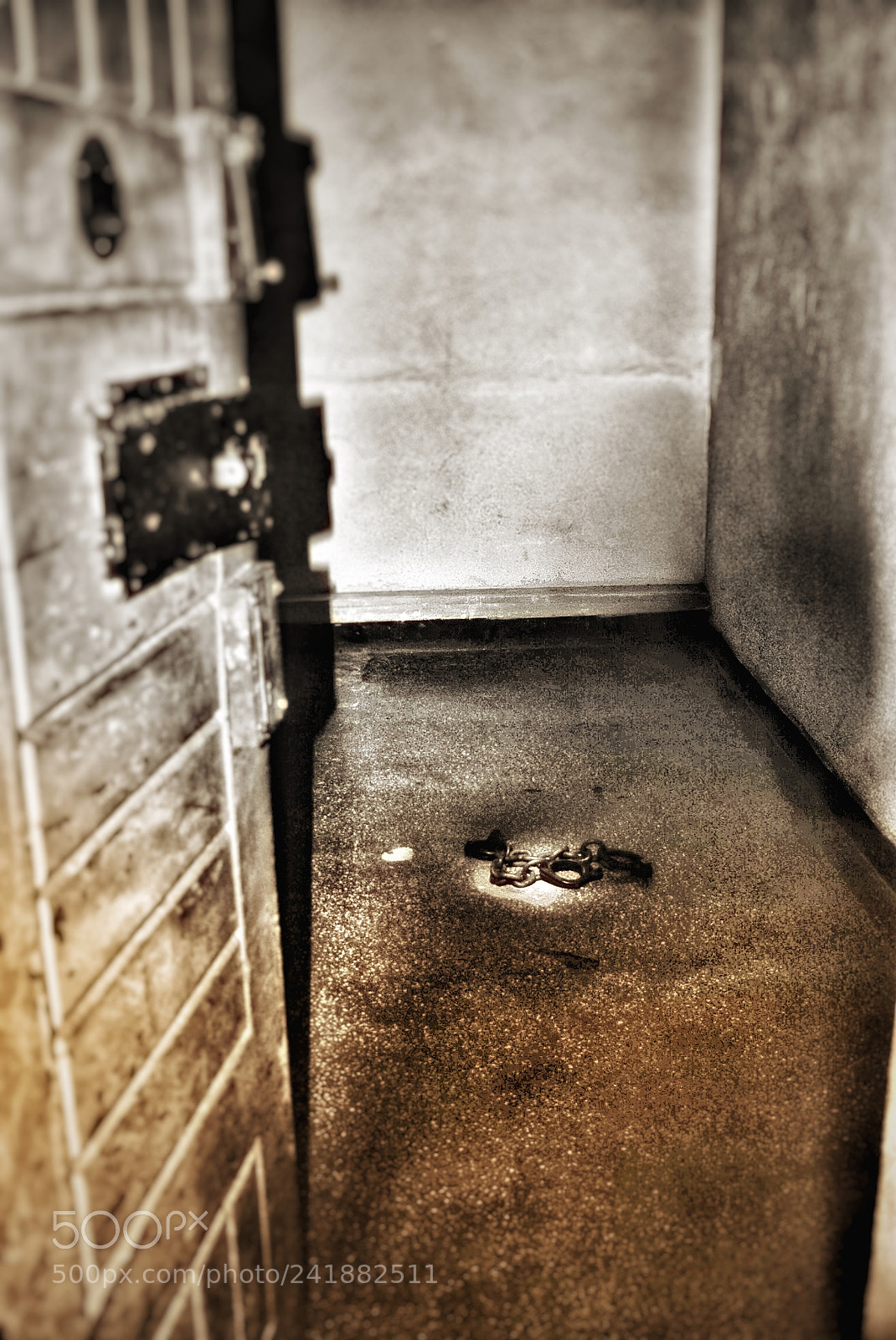 Pentax K200D sample photo. Freedom photography