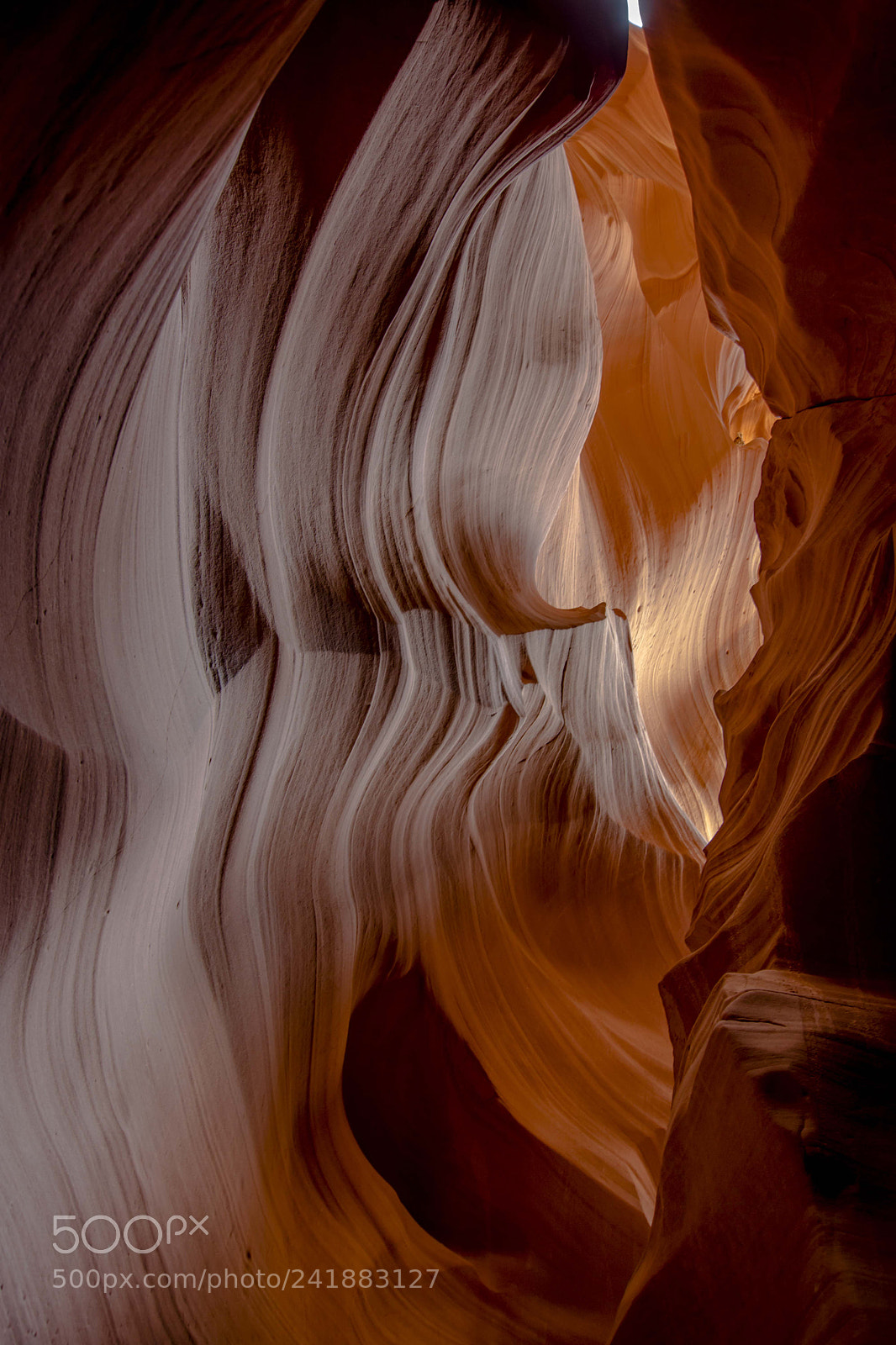 Nikon D7200 sample photo. Semplicemente magico.... photography