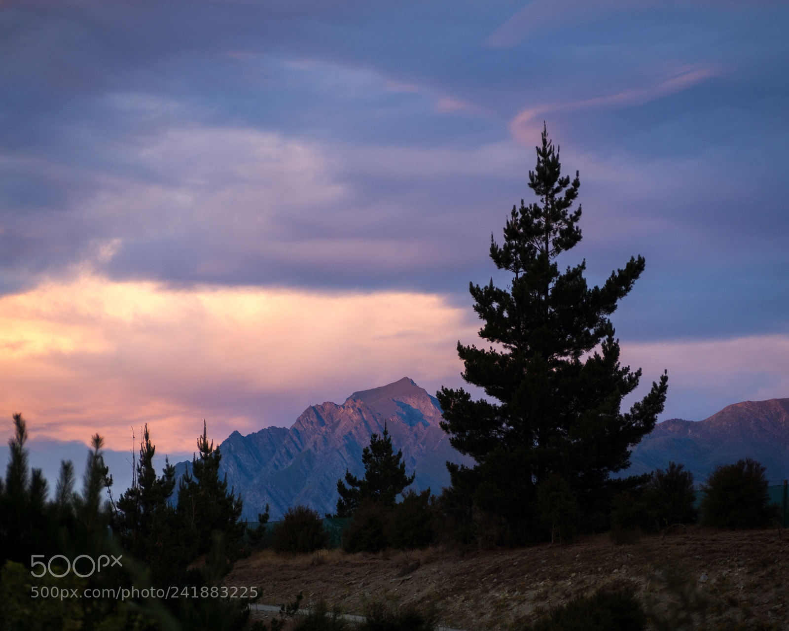 Olympus OM-D E-M10 II sample photo. Nz adventures photography
