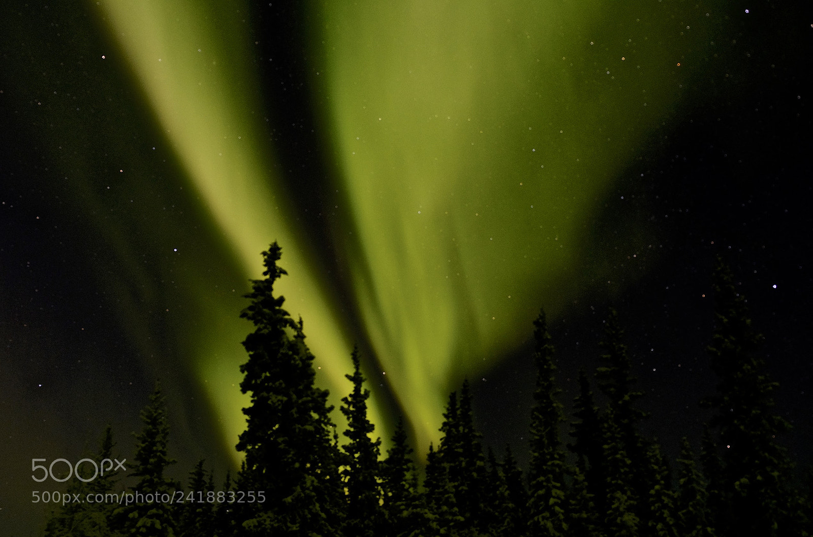 Fujifilm X-T2 sample photo. Yellowknife photography