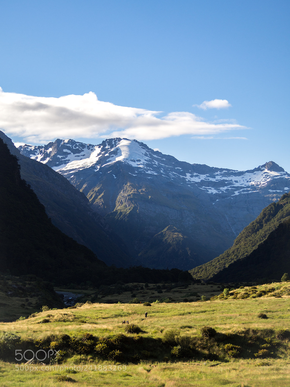 Olympus OM-D E-M10 II sample photo. Nz adventures photography