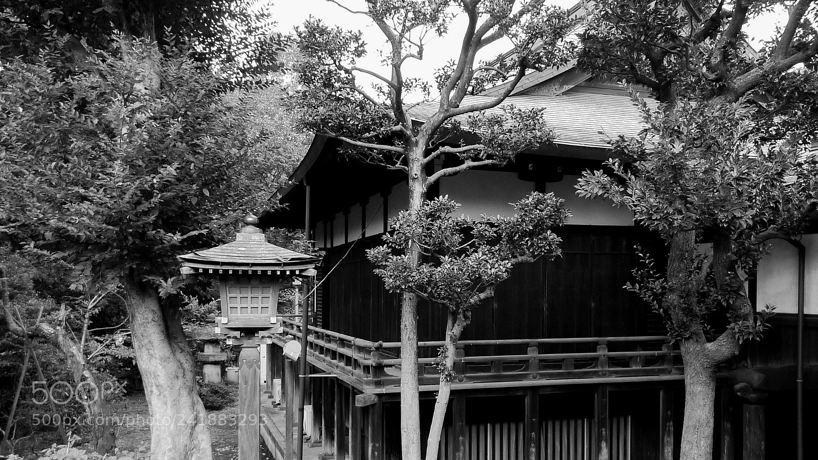 Panasonic Lumix DMC-LX3 sample photo. Garden house photography