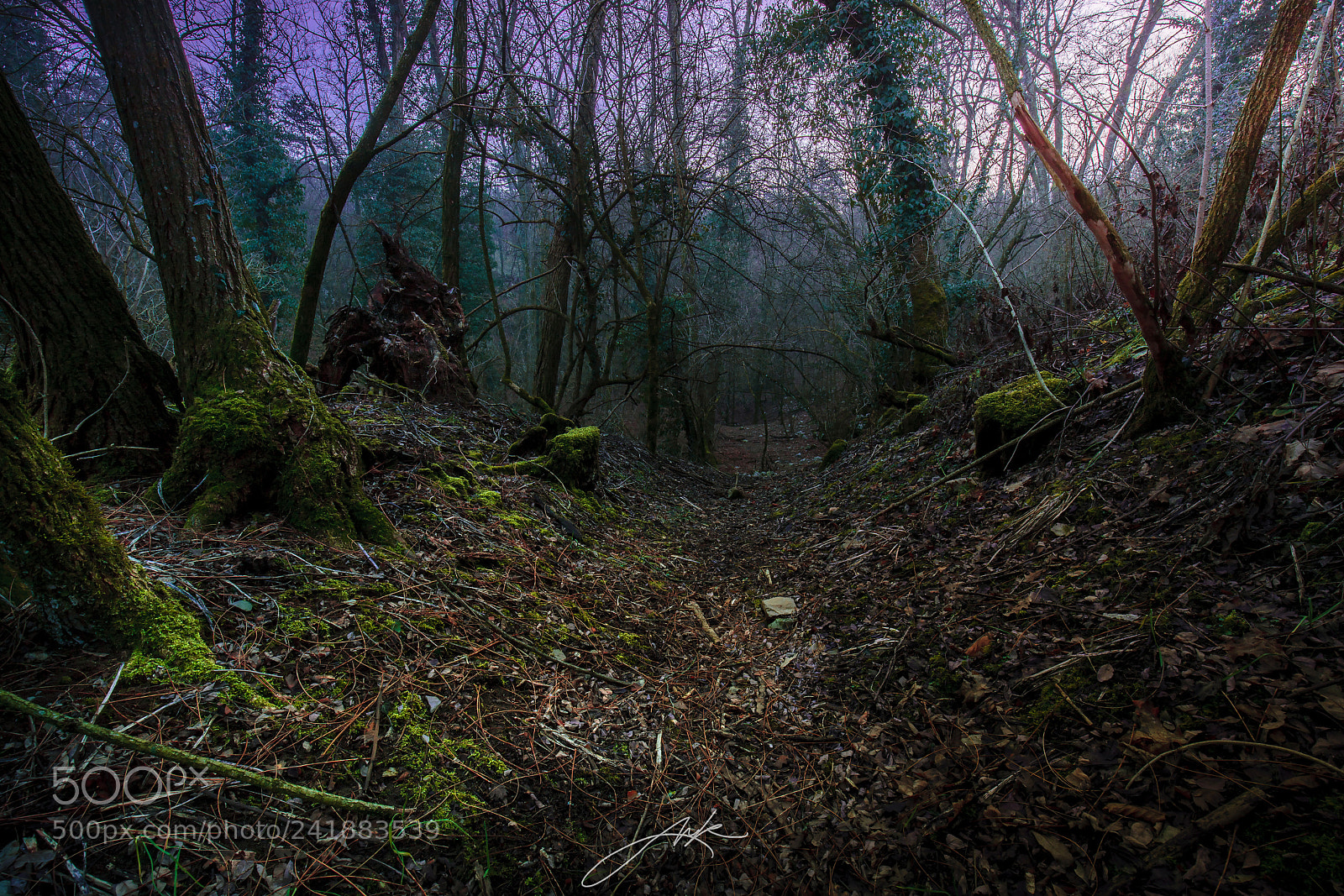 Canon EOS-1Ds Mark III sample photo. Sunset at murky valley photography