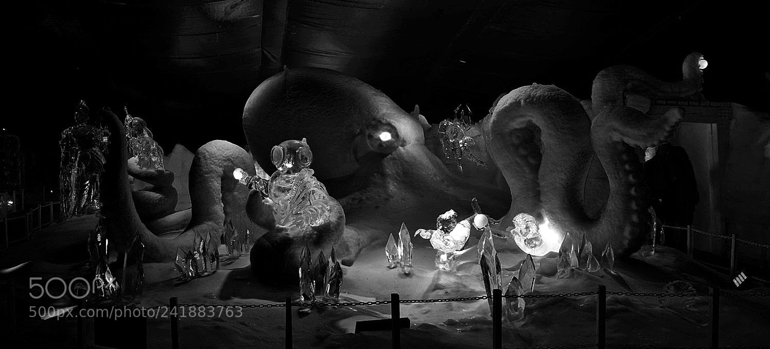 Sony ILCA-77M2 sample photo. Icy giant octopussy photography