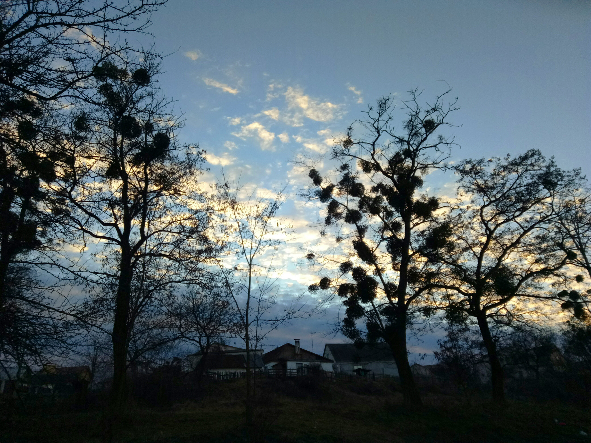 Meizu U20 sample photo