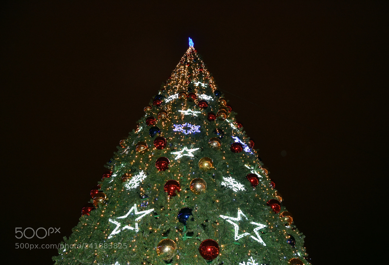 Nikon D7200 sample photo. Christmas tree photography