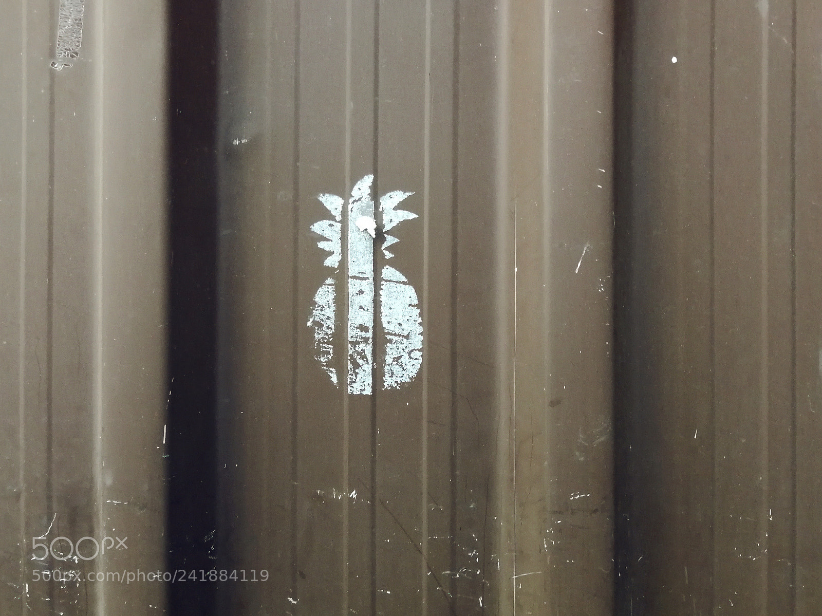 HUAWEI P10 sample photo. Pineappled photography