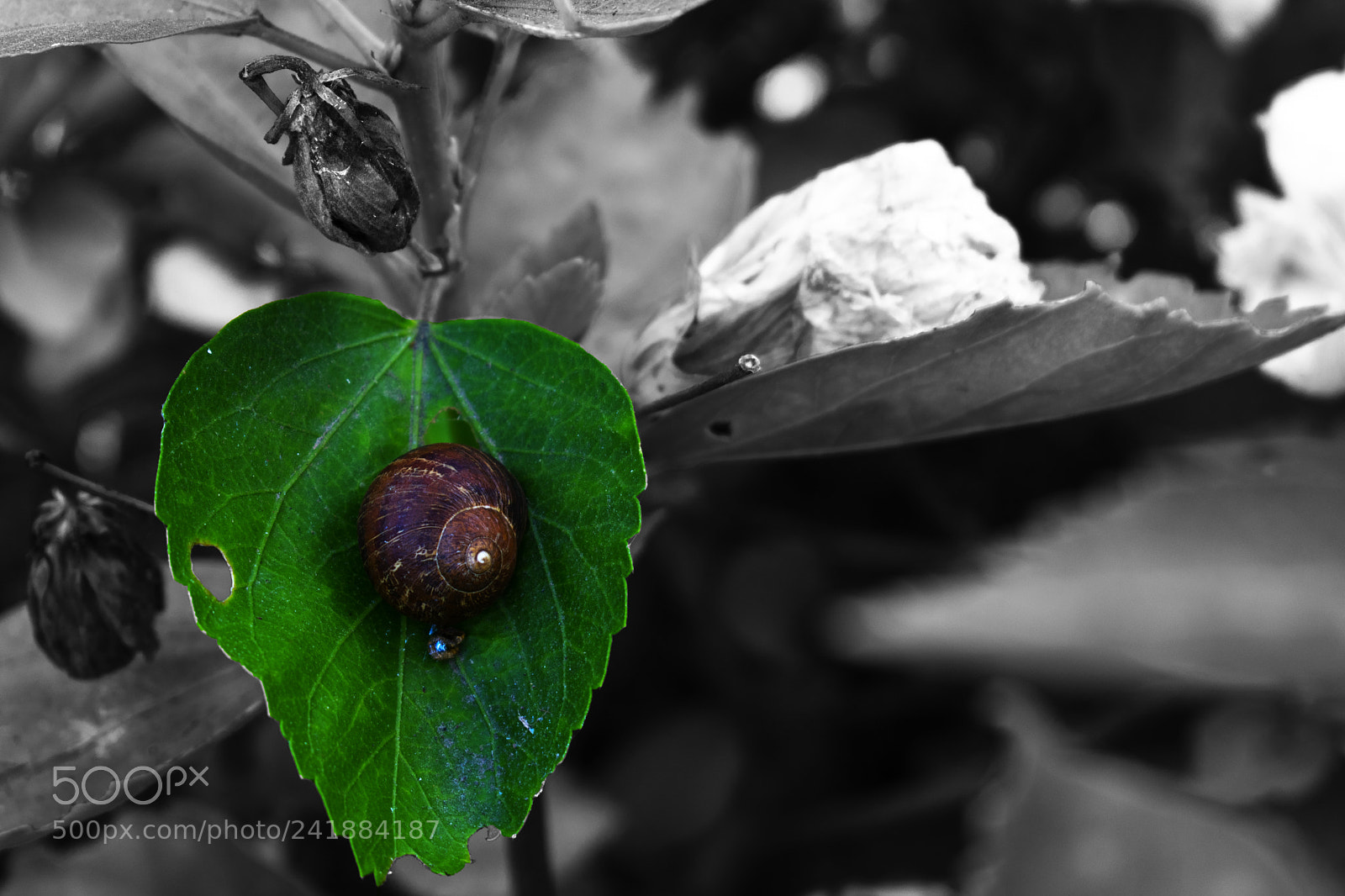 Nikon D3400 sample photo. Life photography