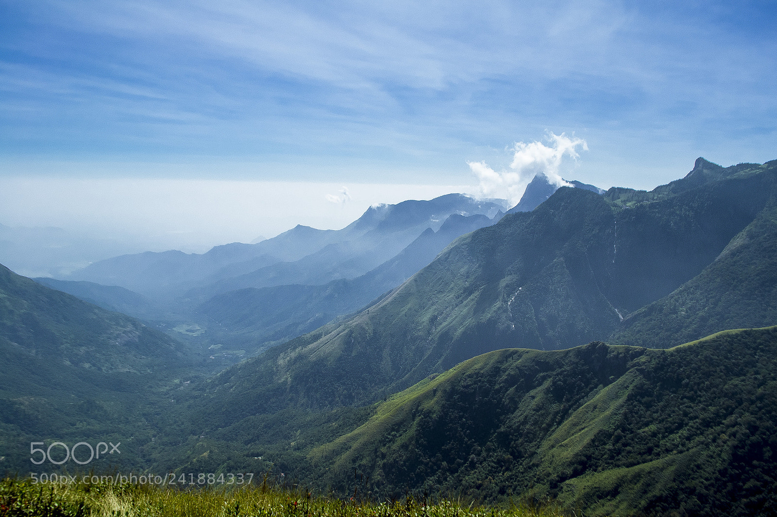Nikon D3100 sample photo. Valley view from top photography