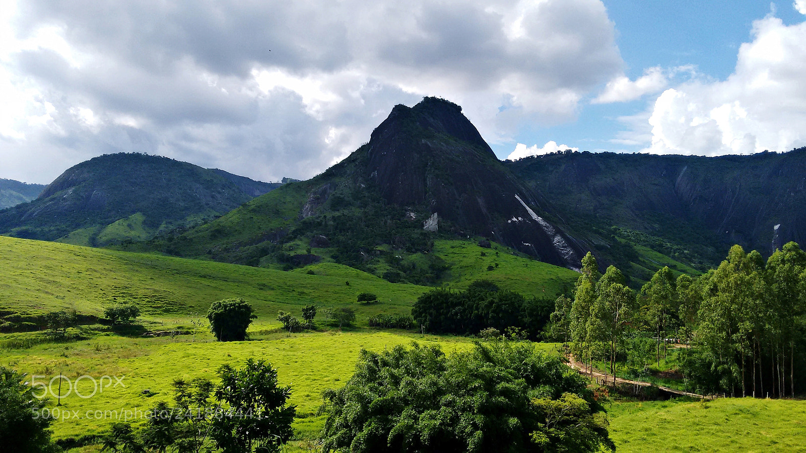 Motorola Moto G (2nd Gen) sample photo. Em uma terra verde photography