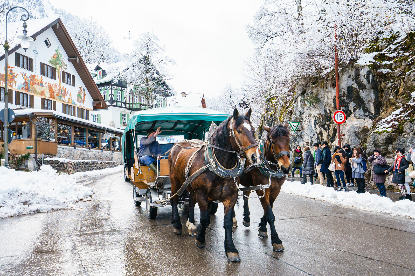 Sony a7 II sample photo. Carriage with horses riding photography