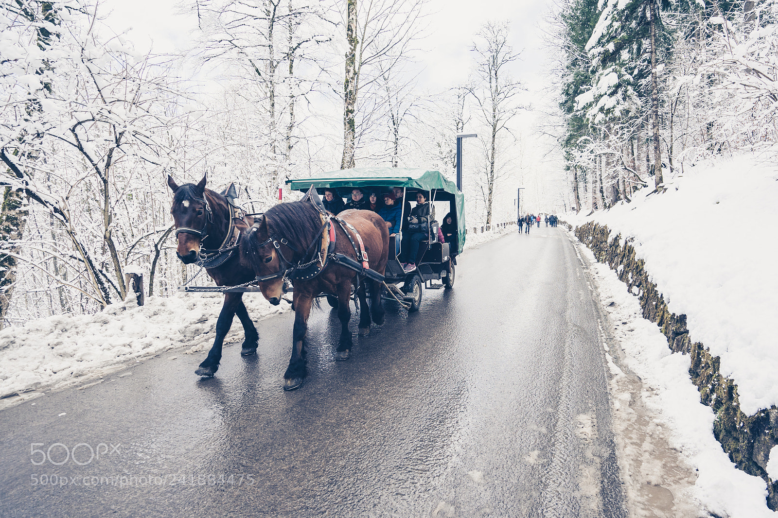 Sony a7 II sample photo. Carriage with horses riding photography