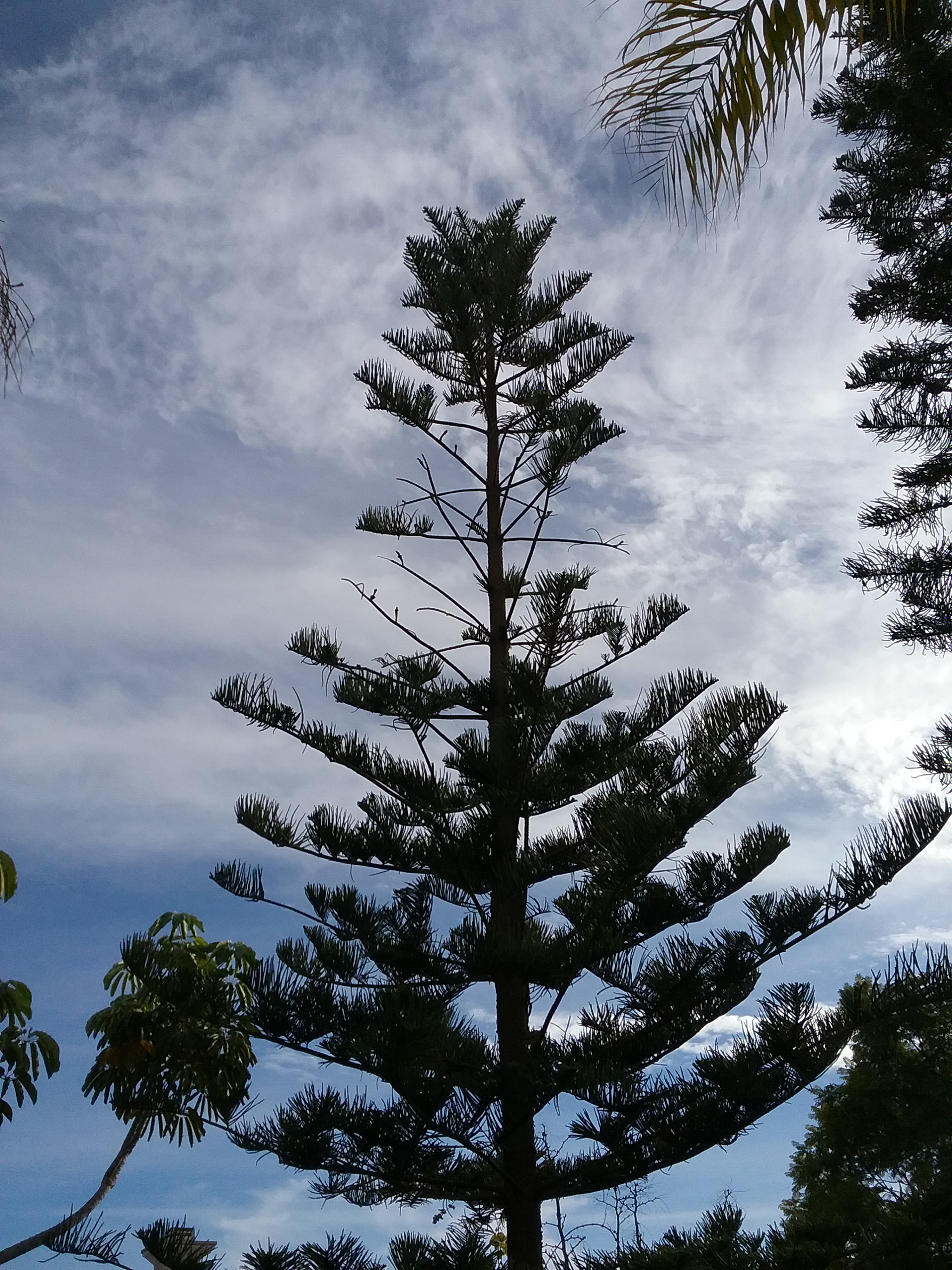 Samsung Galaxy J3 sample photo
