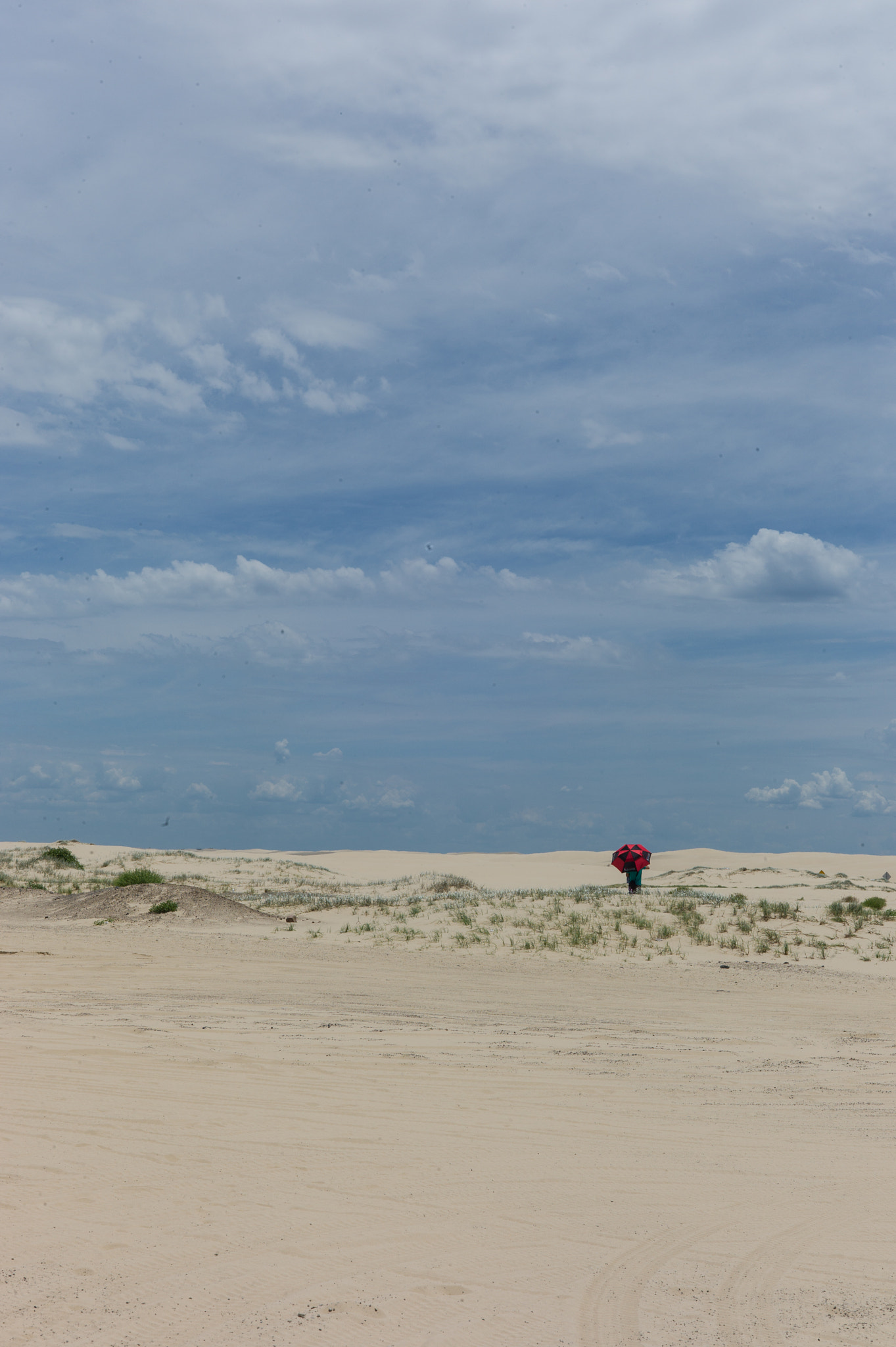 Leica M9 + Summicron-M 50mm f/2 (IV, V) sample photo. Desert at port stephens photography