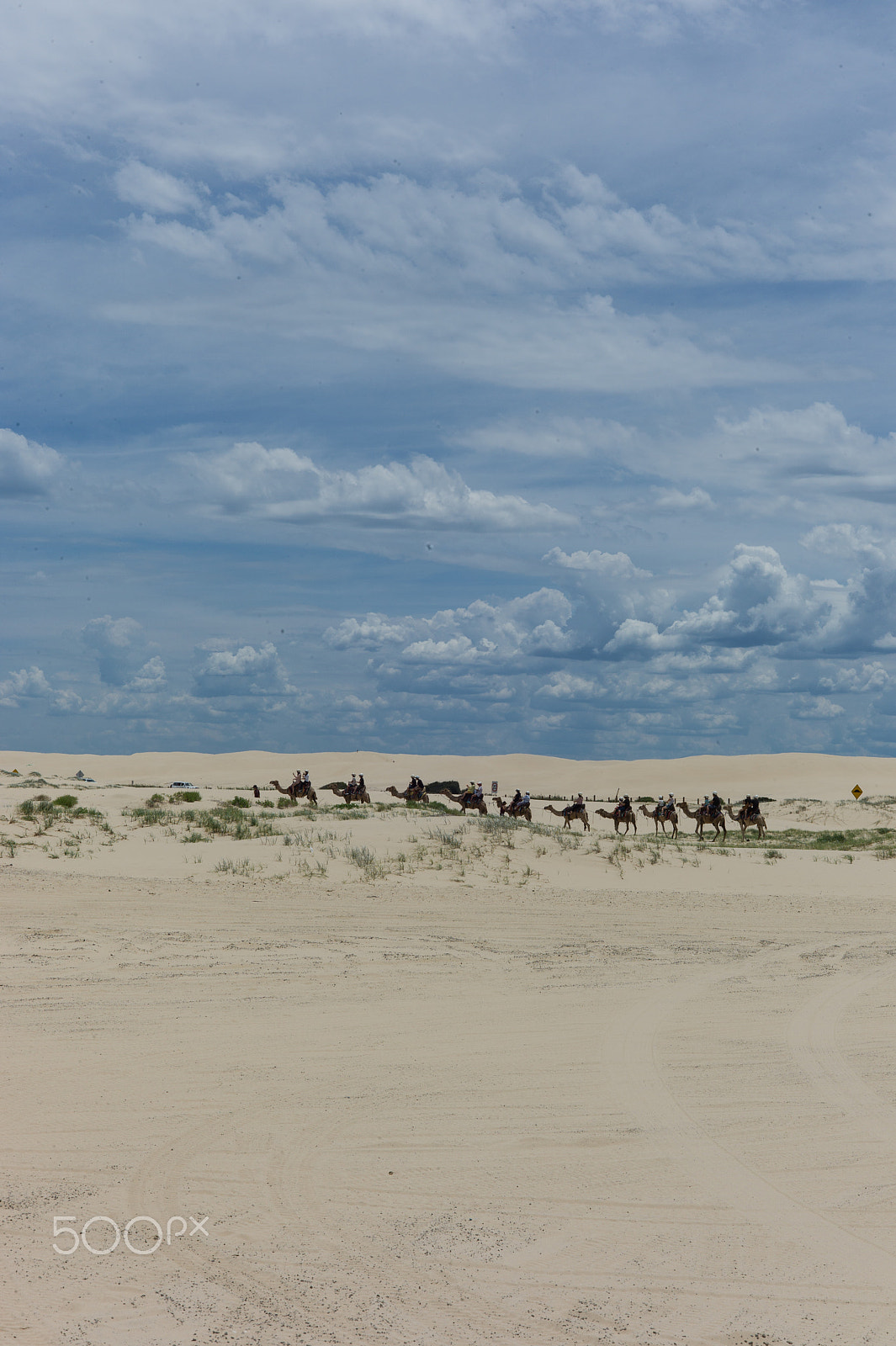 Leica M9 + Summicron-M 50mm f/2 (IV, V) sample photo. Desert at port stephens photography
