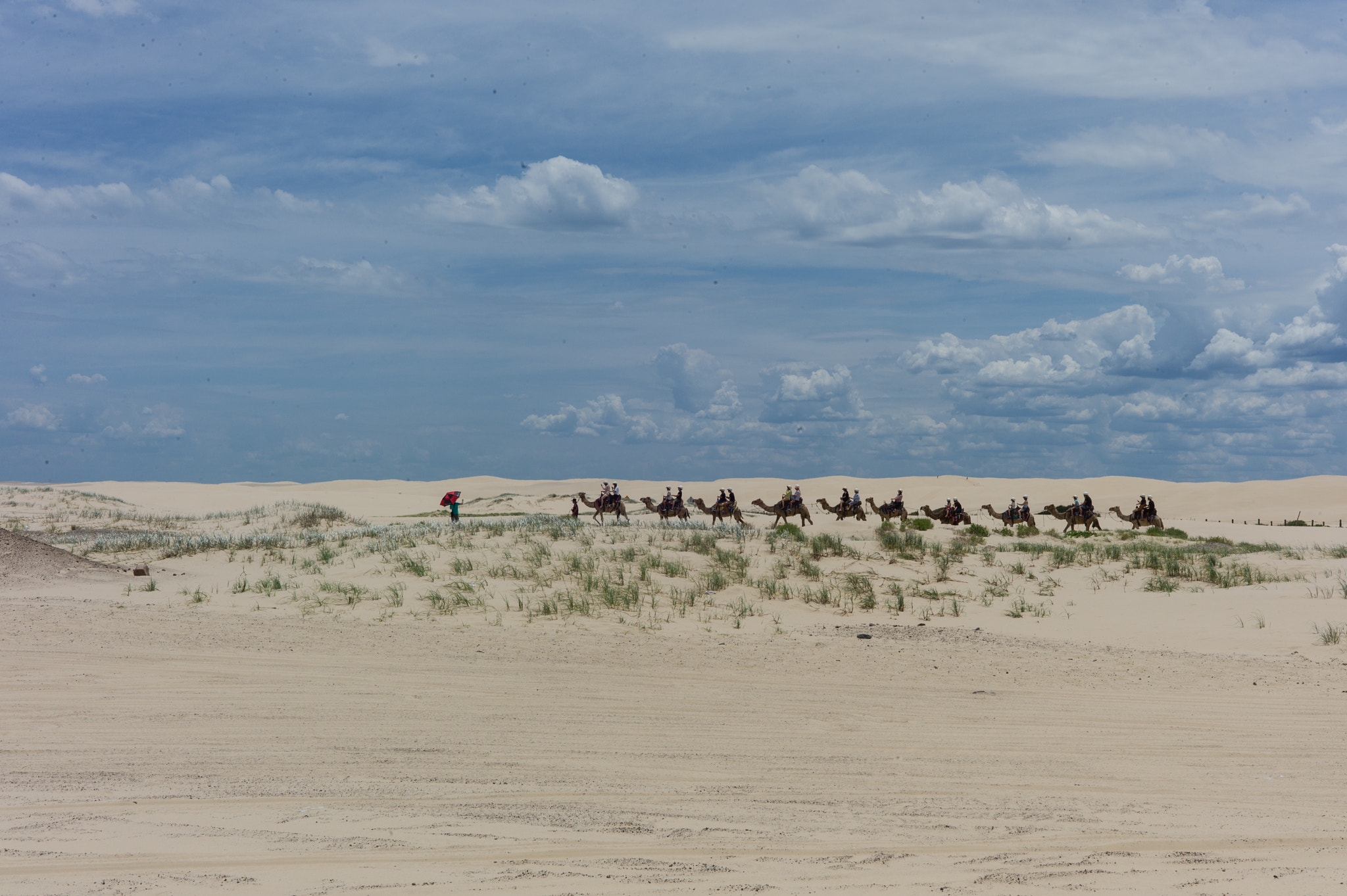 Summicron-M 50mm f/2 (IV, V) sample photo. Desert at port stephens photography