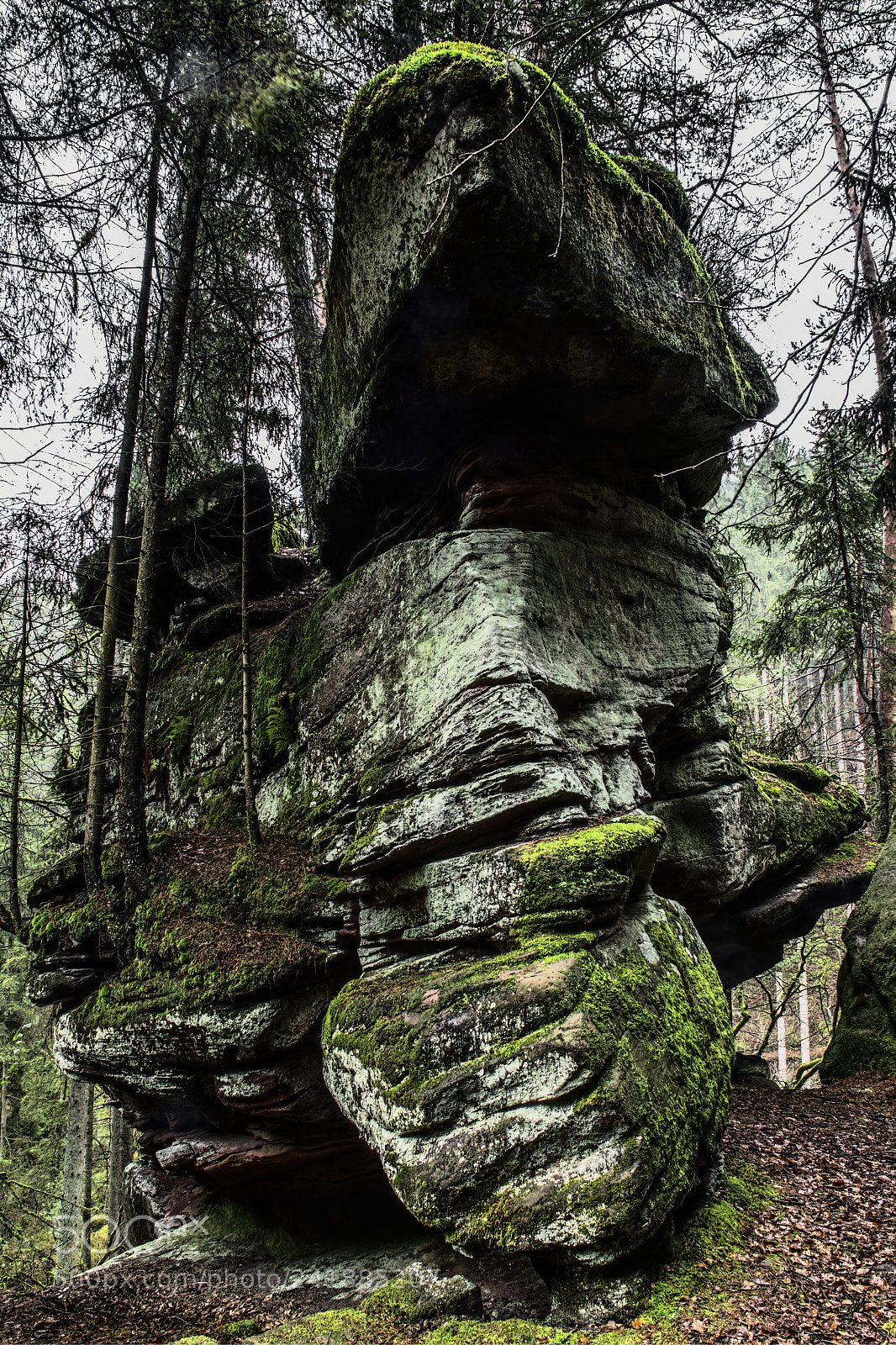 Nikon D7100 sample photo. Palatinate66 photography