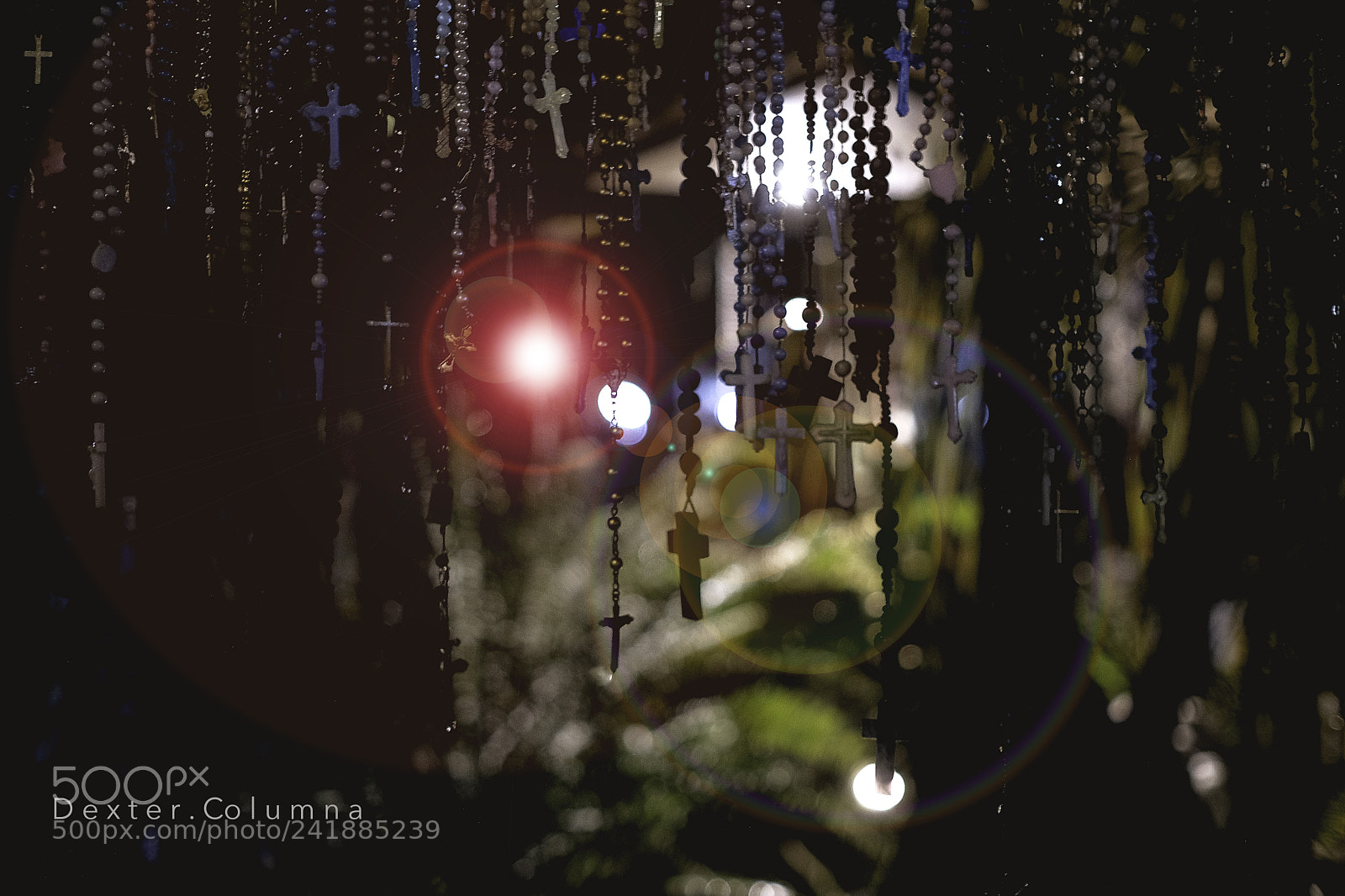 Fujifilm X-Pro2 sample photo. Untitled photography