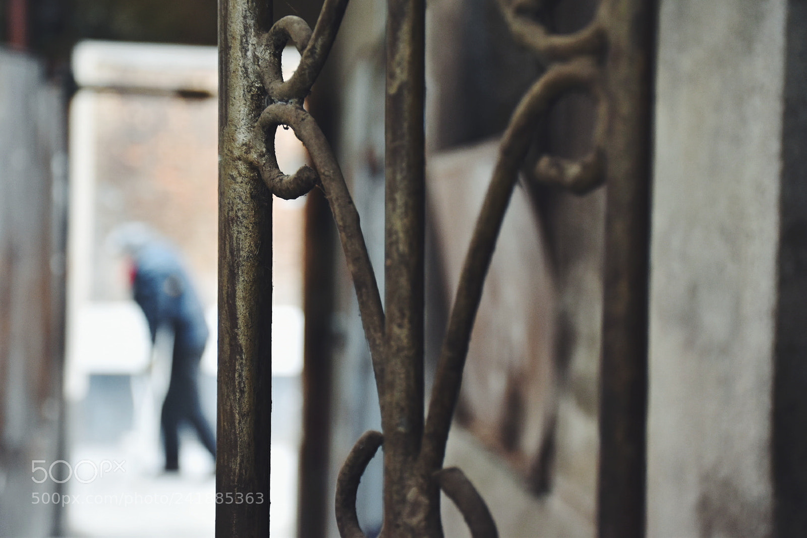 Nikon D5600 sample photo. Passer–by photography